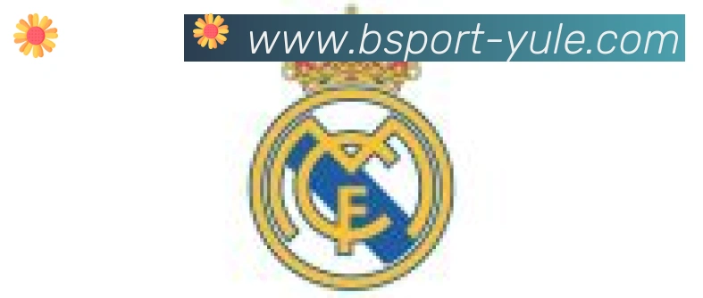 Bsports官网合作伙伴