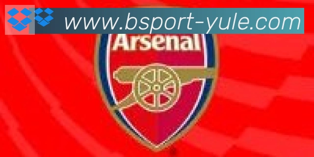 Bsports官网合作伙伴