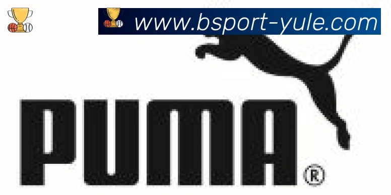 Bsports官网合作伙伴